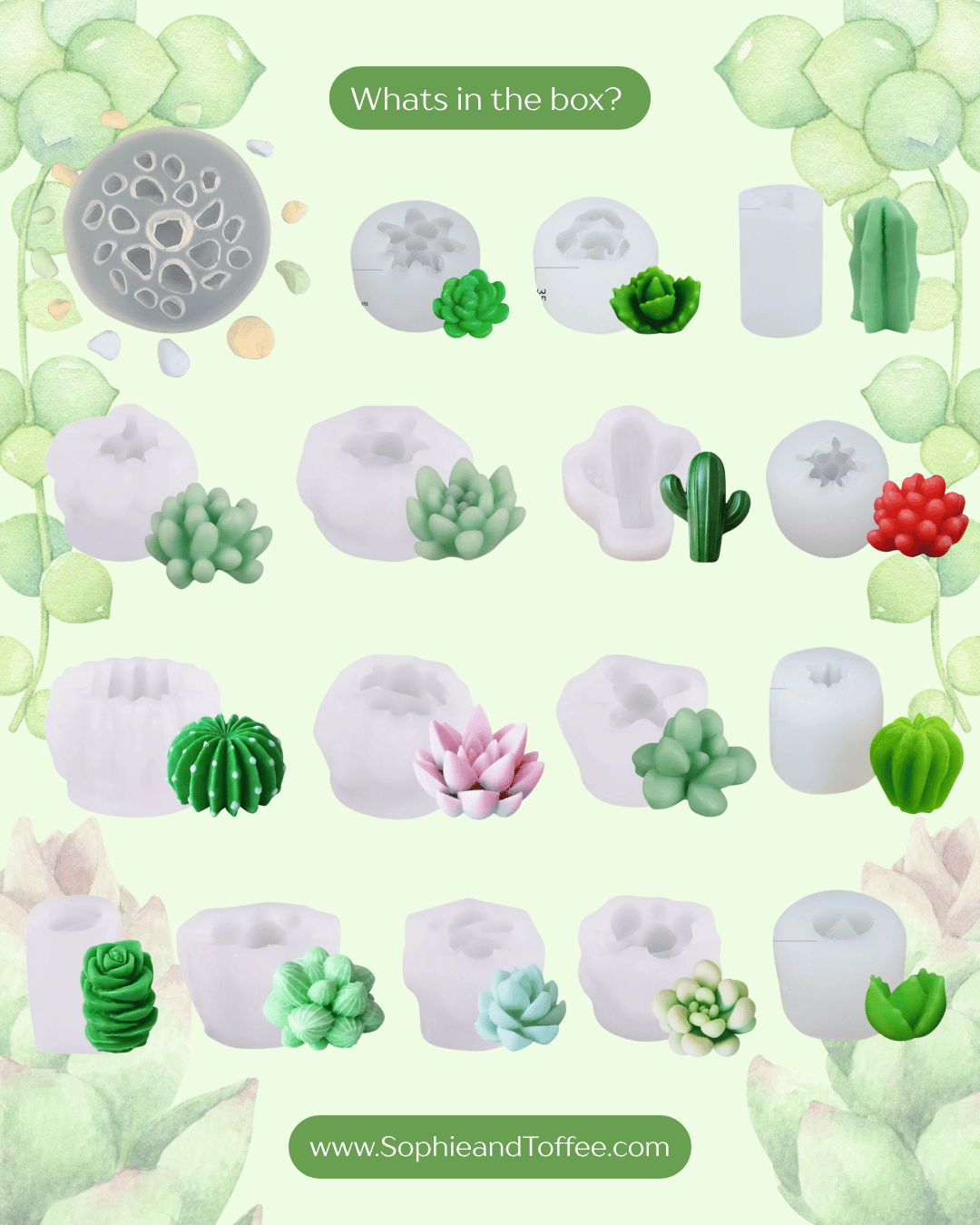 The Pixie Box (Monthly Plan)