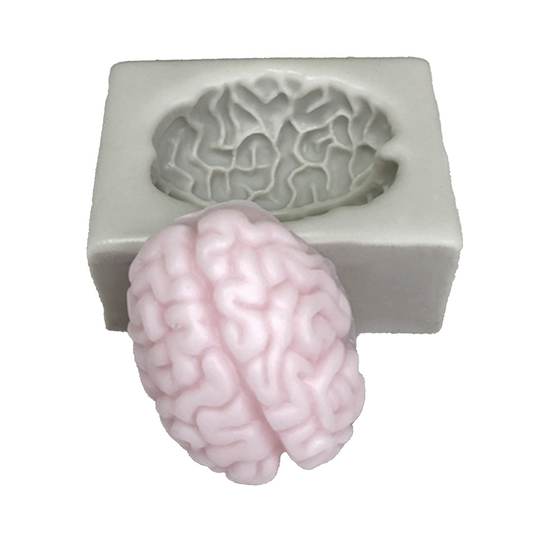Molde de silicona realista para anatomía cerebral