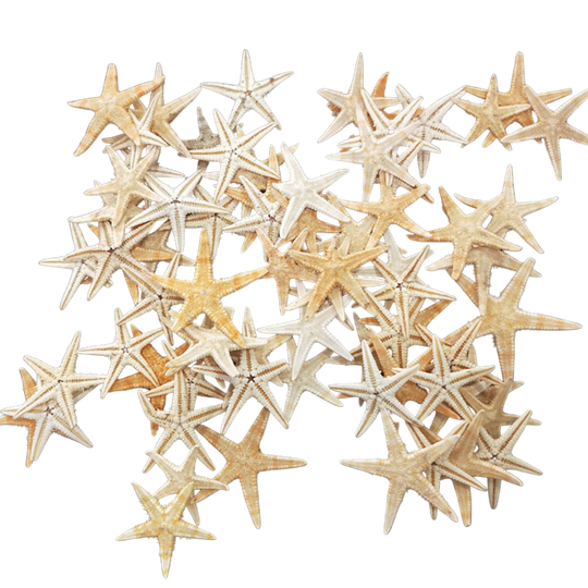 Miniature Starfish (20 pieces)