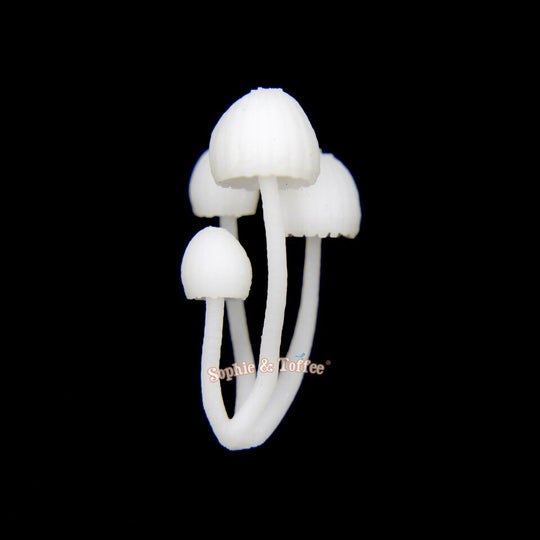 Miniature Terrarium Mushroom (2 pieces)