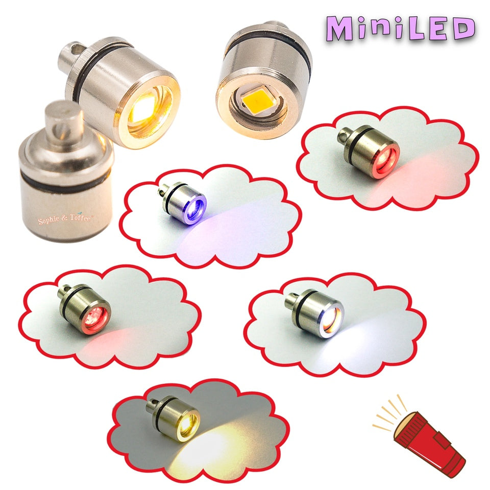 Mini LED Light (2 pieces), LED Light Bulb, LED Light Strip, LED Light  Keychain