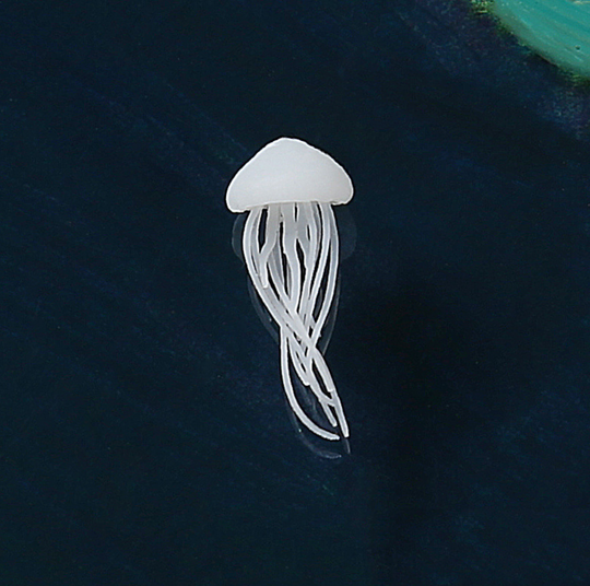Long Bell Jellyfish Miniature