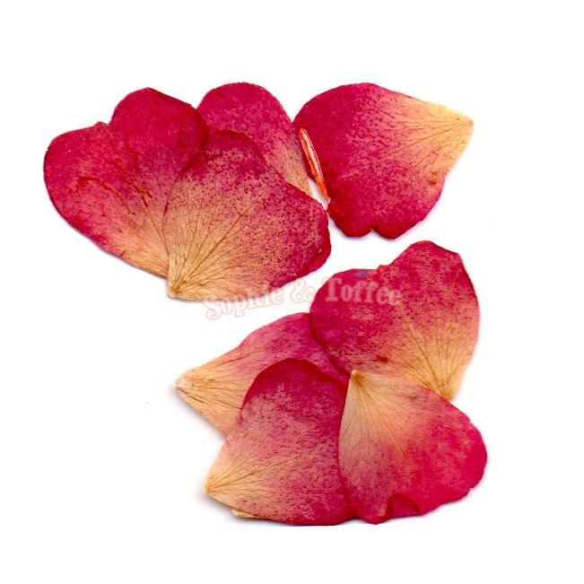 Red Rose Pressed Flowers 8 Pcs, Rose Petals Confetti Dried Flower